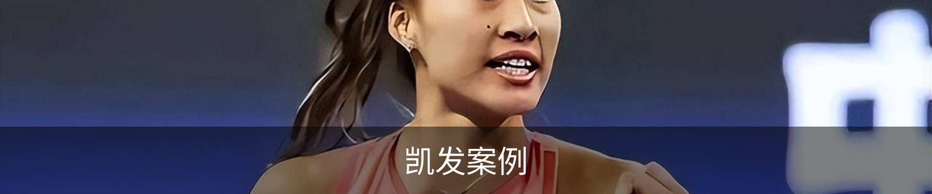 凯发案例